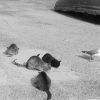 IMG 5819 IMG 5819