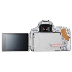 Canon EOS 200D Rumors 12 Canon EOS 200D Rumors 12