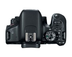 Canon EOS T7i 800D 0003 Canon EOS T7i 800D 0003
